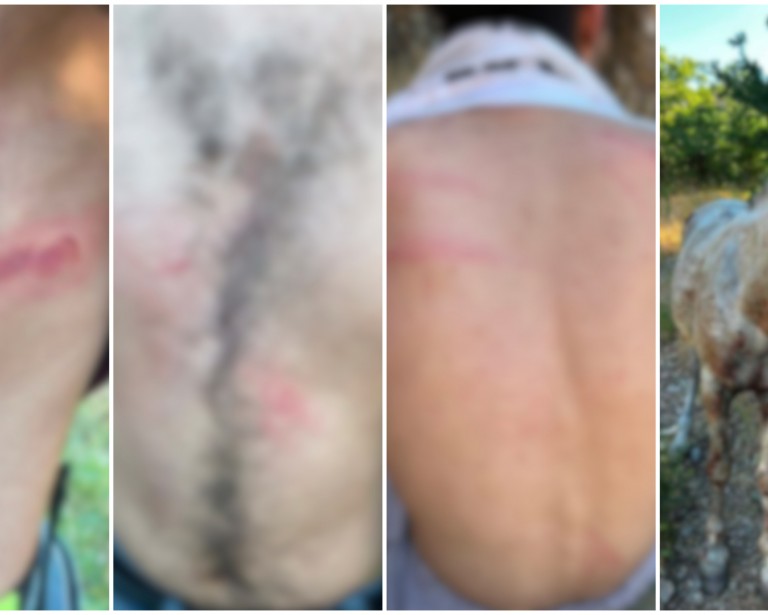Torture by Turkish soldiers in Sheladiz 